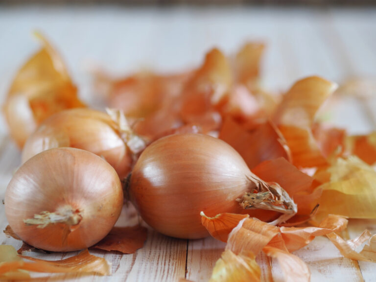 onion skins