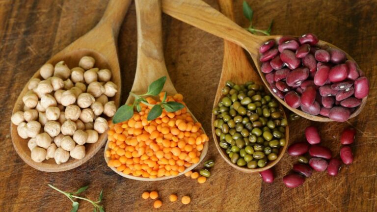 various kinds legumes beans lentils chickpeas mung beans