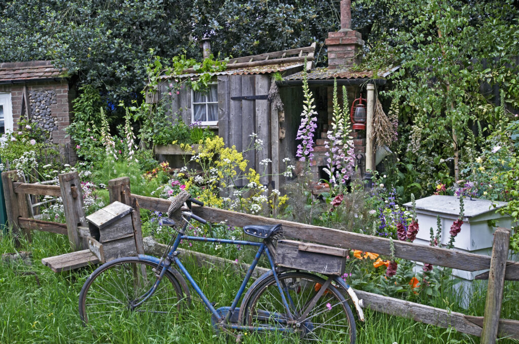 wildflower garden with bike bicycle