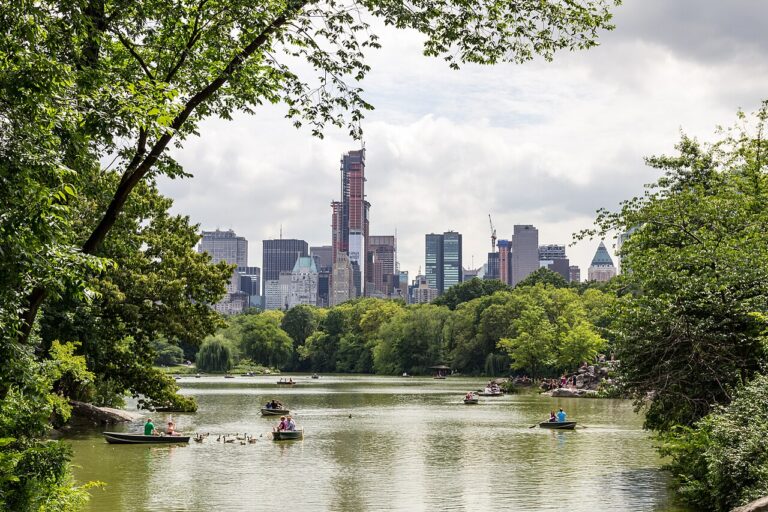 new york city