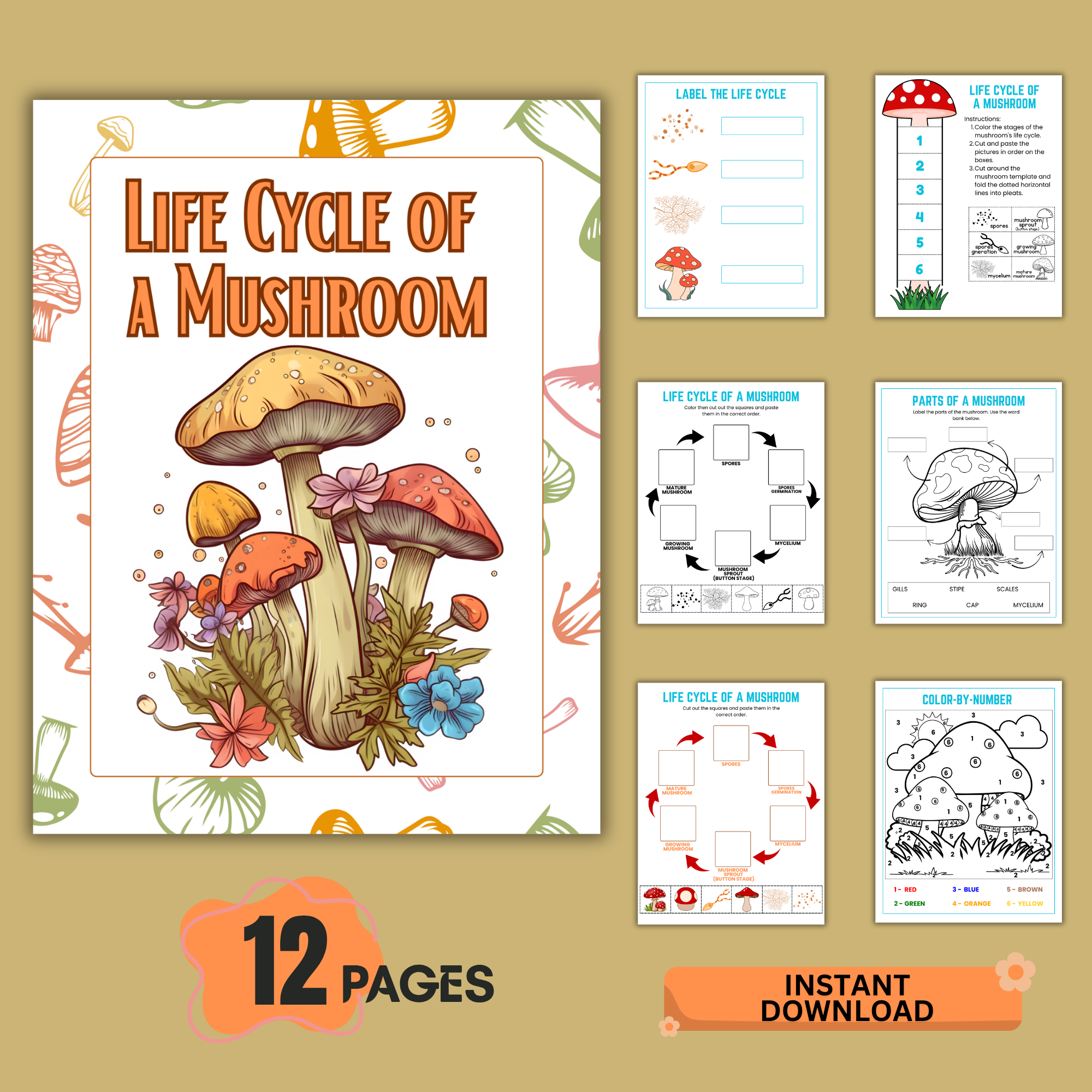 Printed advertising and promotional newspapers in the mailbox closeup. Booklets with discounts