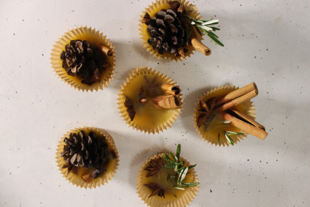 DIY Fire Starters
