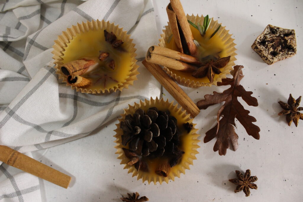 DIY Fire Starters