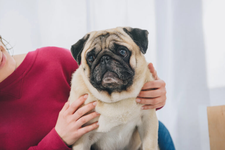 woman holding dog