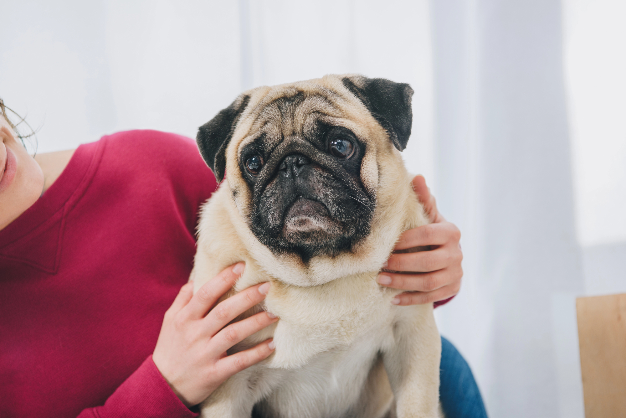 woman holding dog