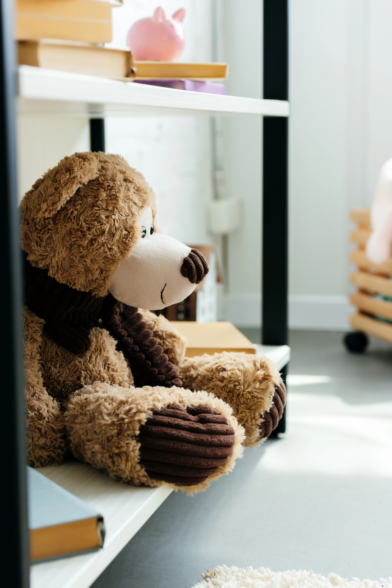 teddy bear on shelf