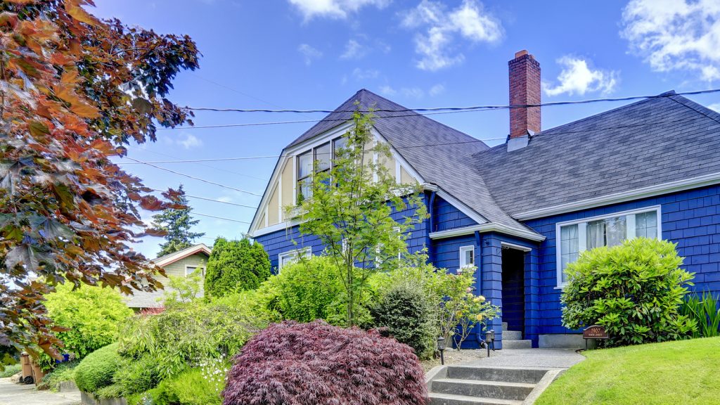 blue house on lawn