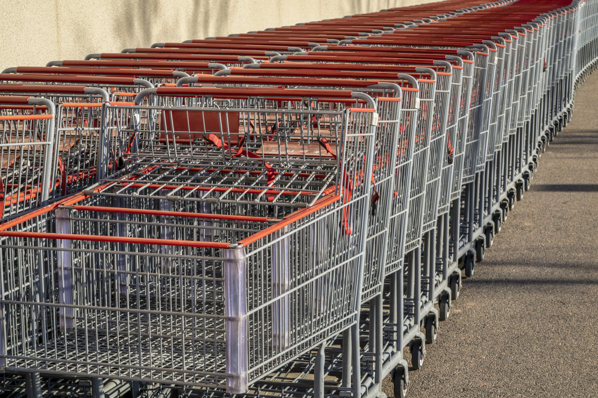 Oversized Carts