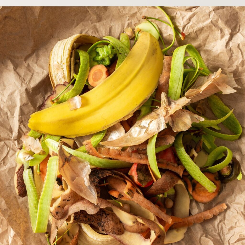 food scrap