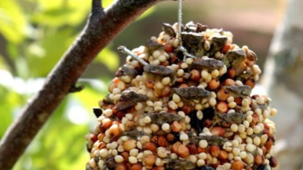 Pine Cone Bird Feeder