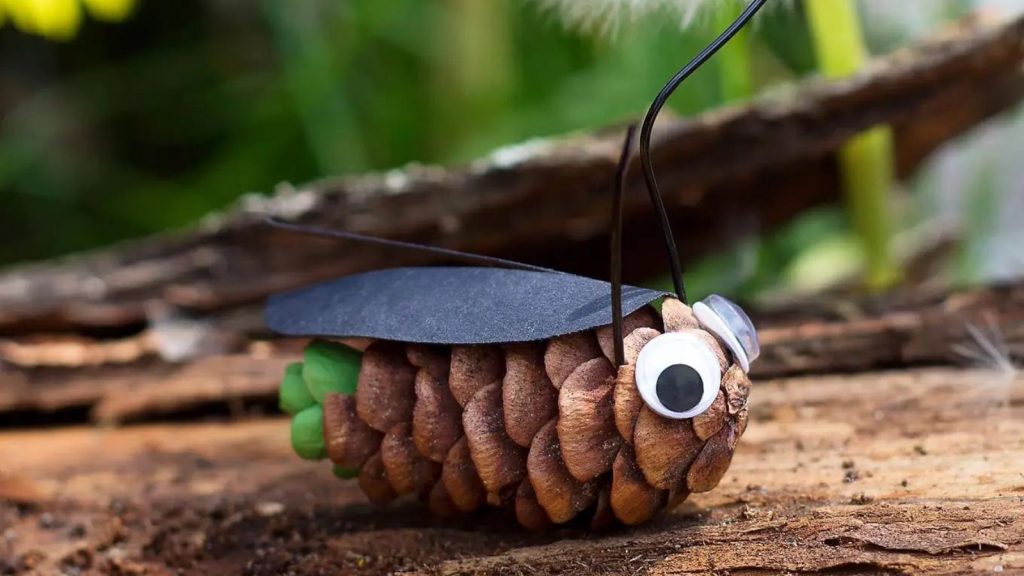 Pine Cone Fireflies