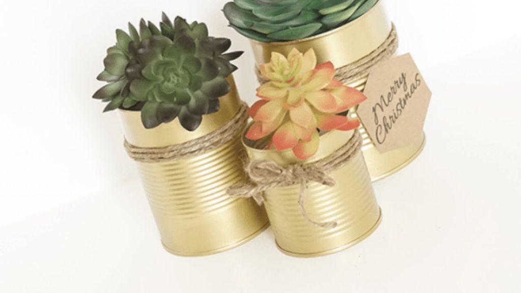 succulent craft