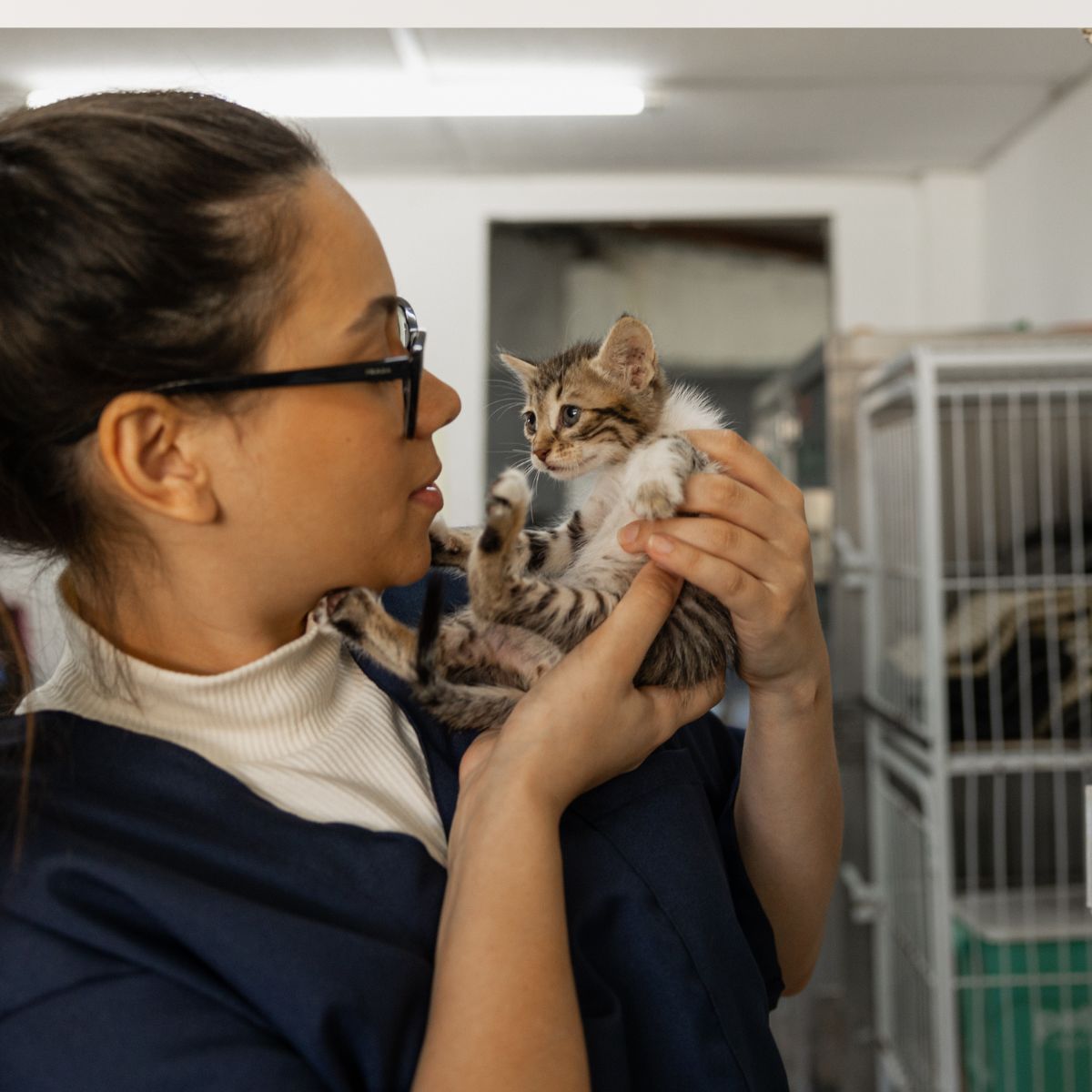 8 Everyday Household Items Animal Shelters Wish More People Would Donate