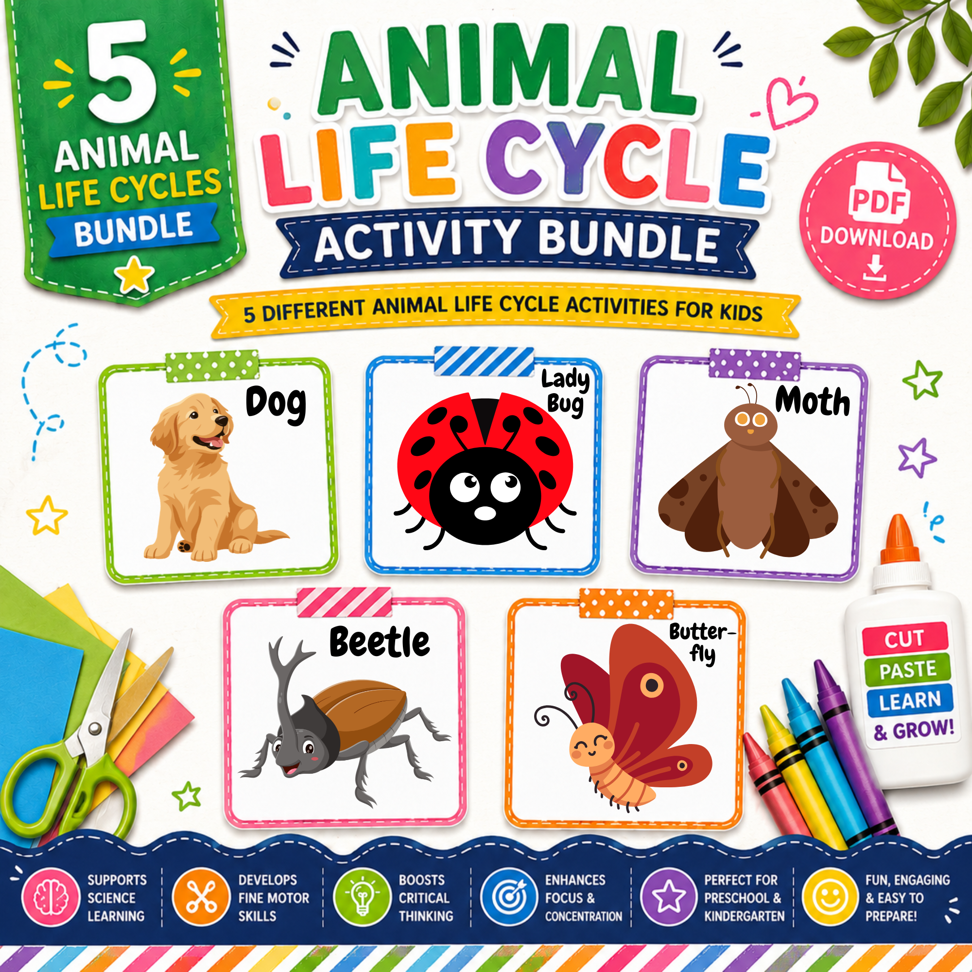 Animal life cycle printable activity bundle for preschool and kindergarten kids.