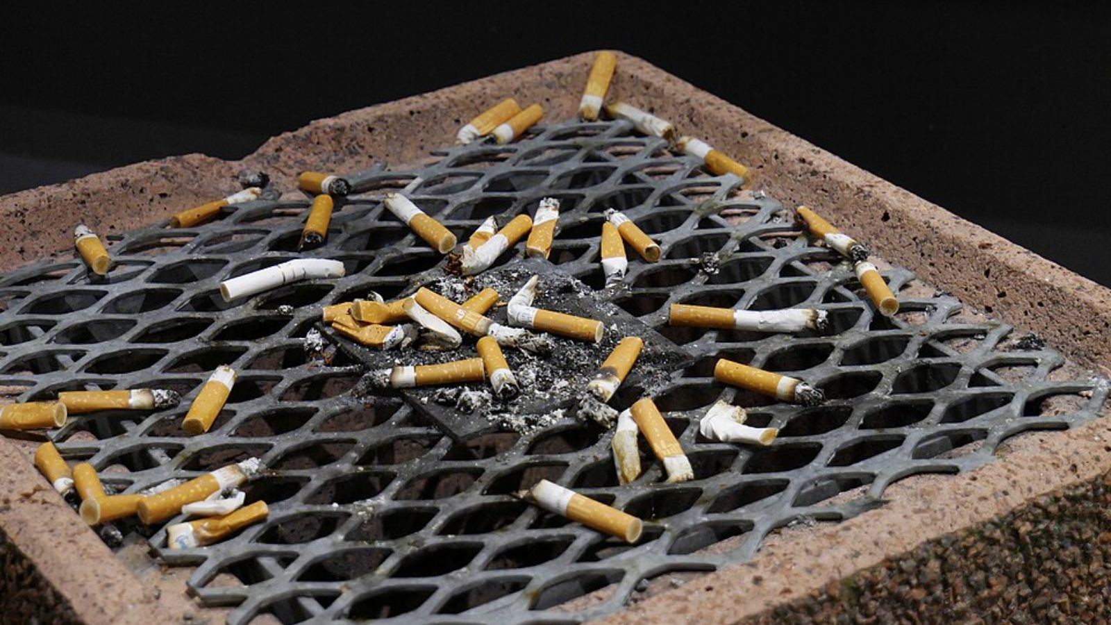 Cigarette Butts