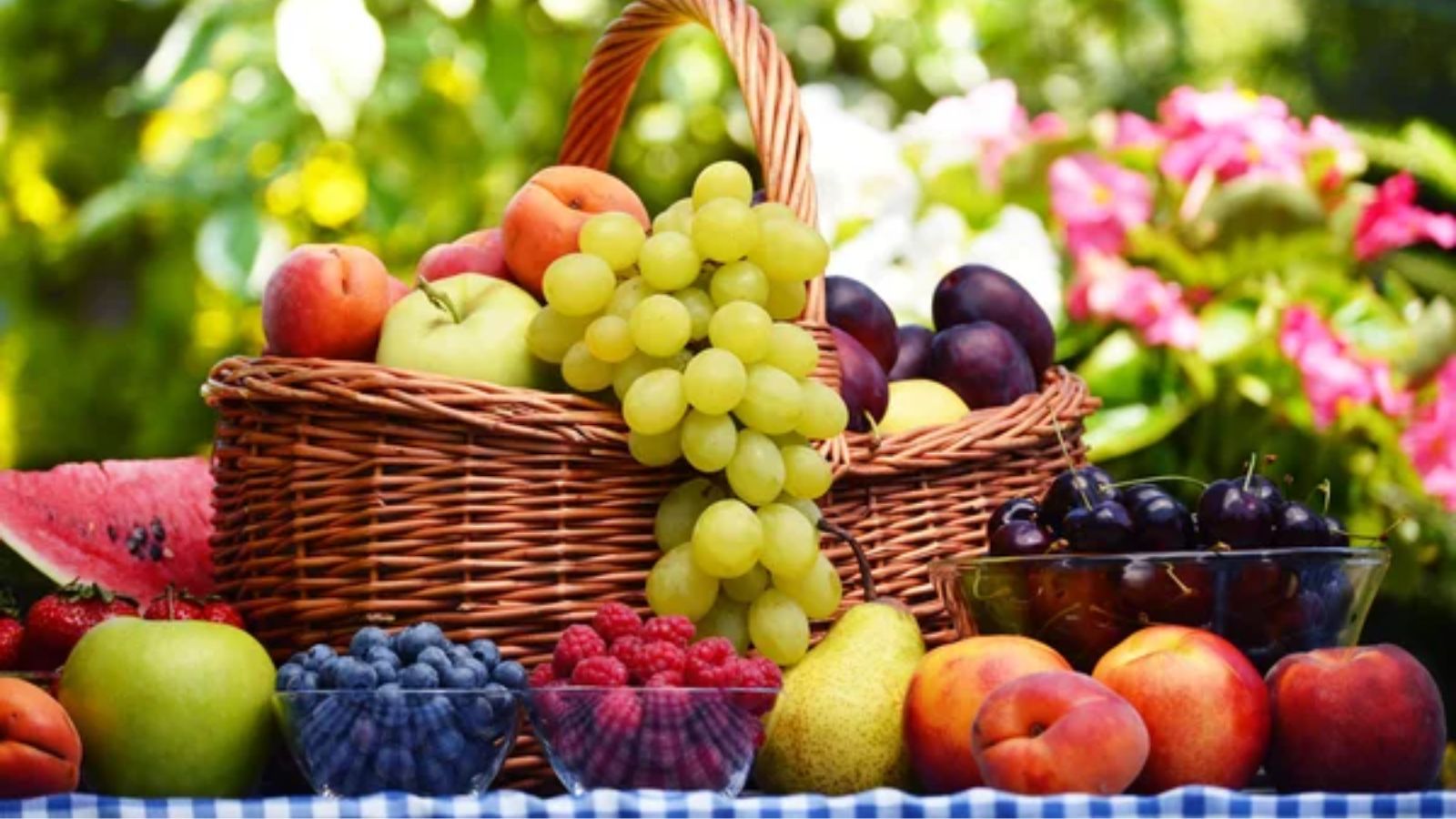 fruits