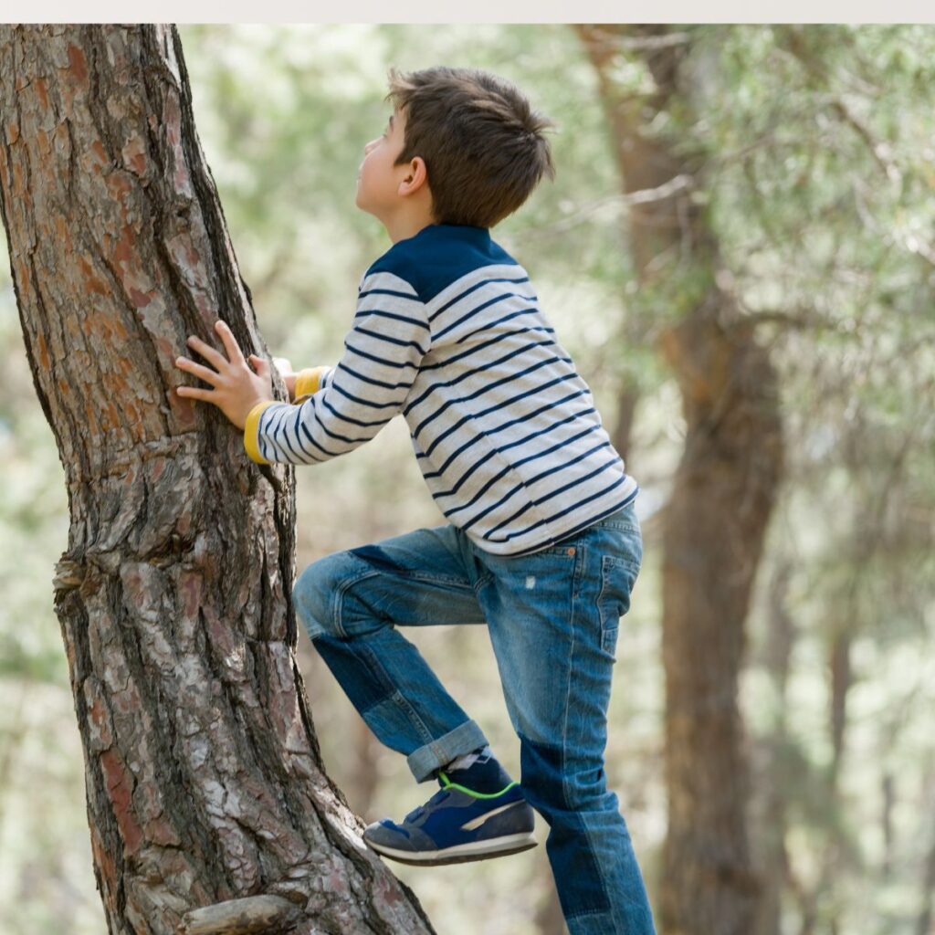 kid climbing a tree