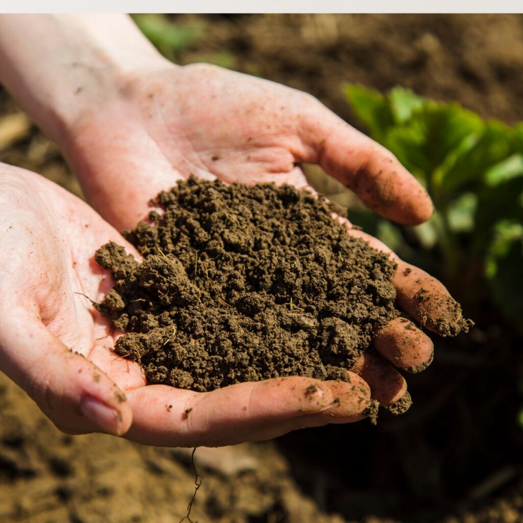 man holding soil