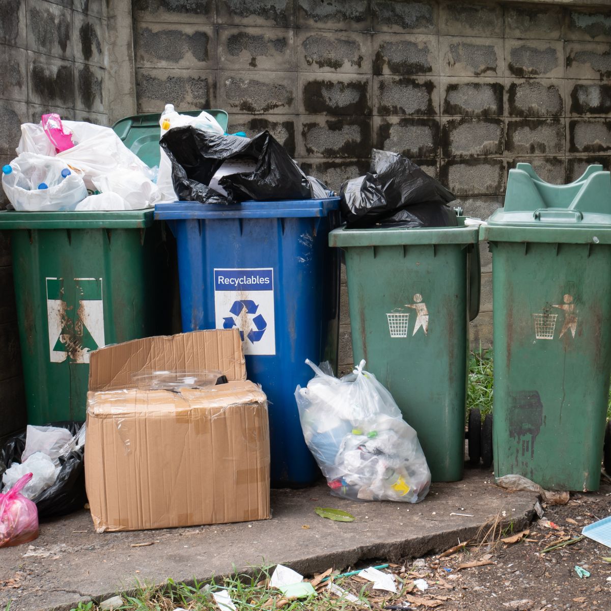 10 Household Items That Could Be Attracting the Worst Summer Bugs