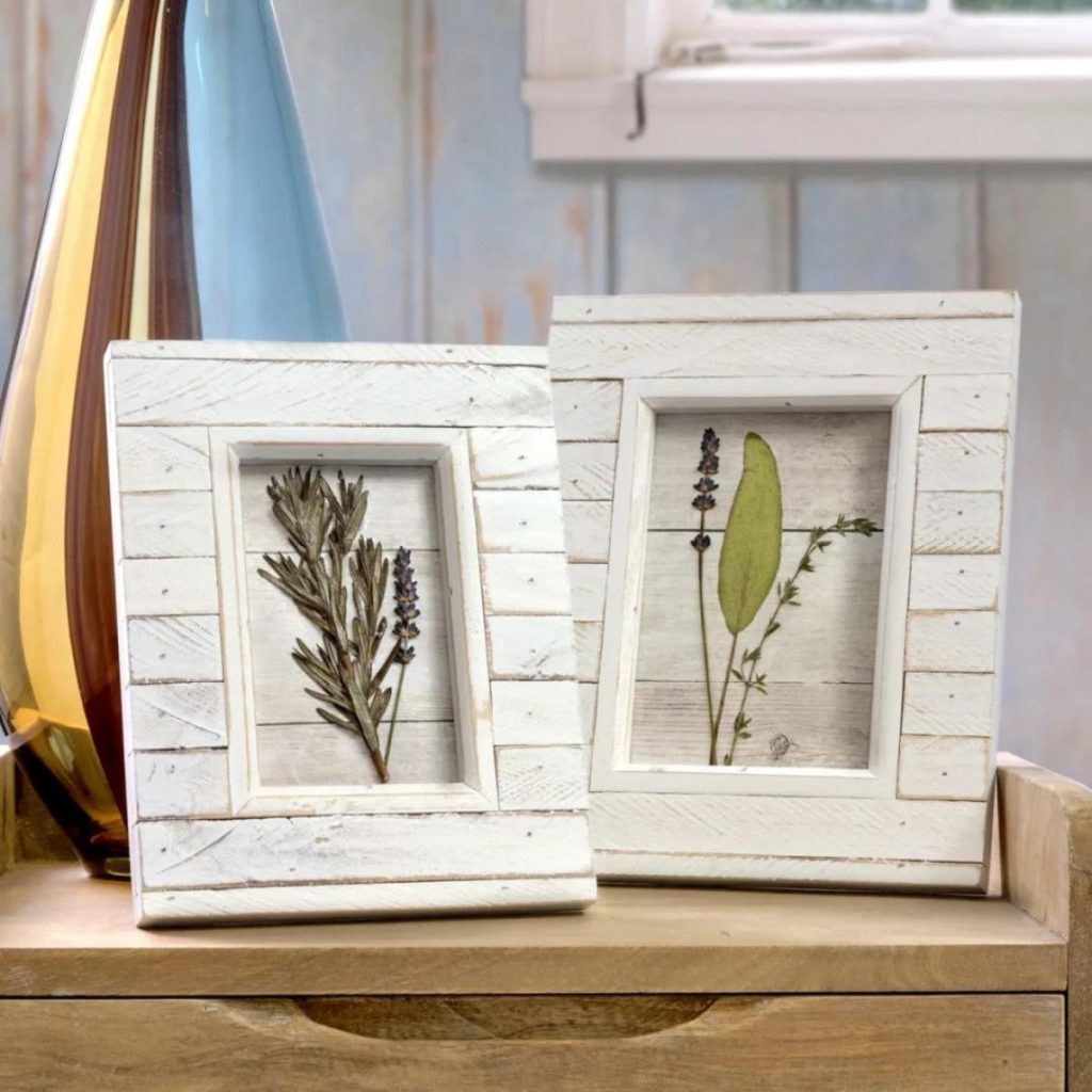 Pressed Flowers with Mod Podge