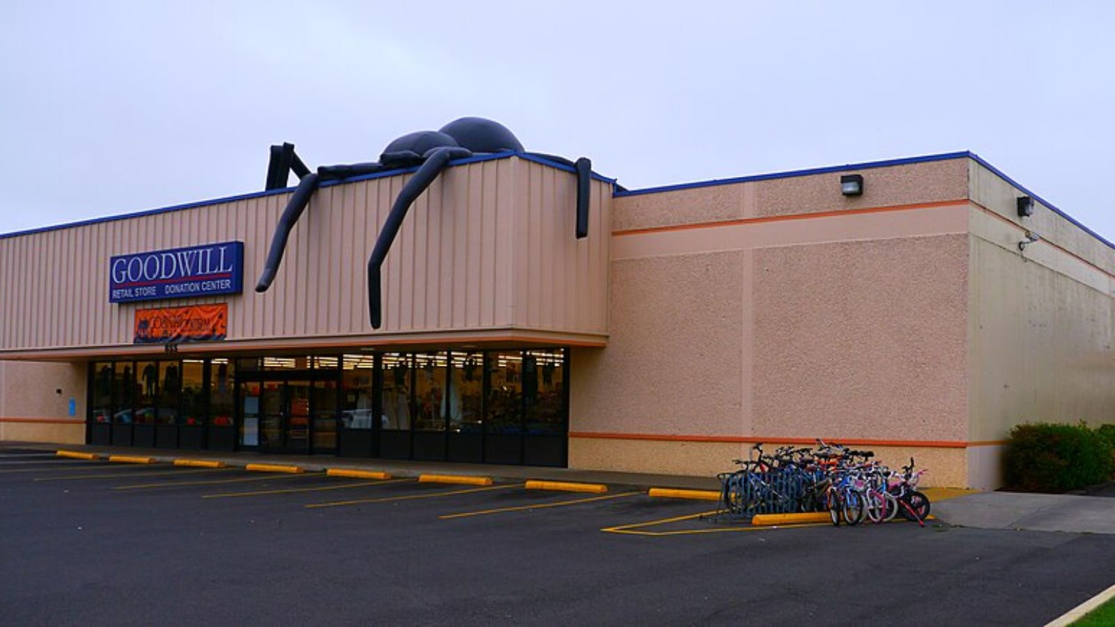 Goodwill Shopping