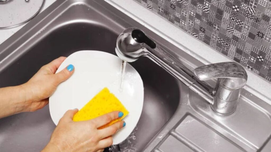 Kitchen Sponge