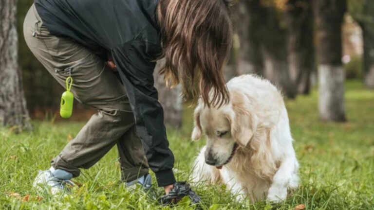 10 Things in Your Yard That Could Be Attracting Coyotes Without You Knowing