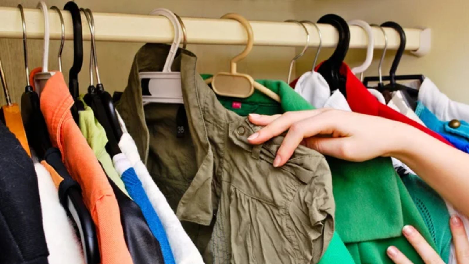 clothes