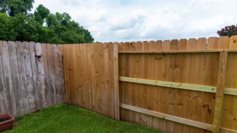 She Says Her Neighbors Keep Watching Her—So She’s Taking Privacy Into Her Own Hands