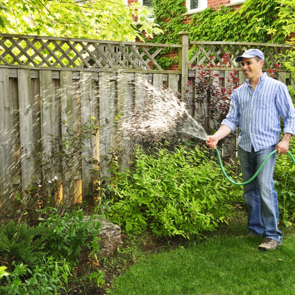 man watering garden