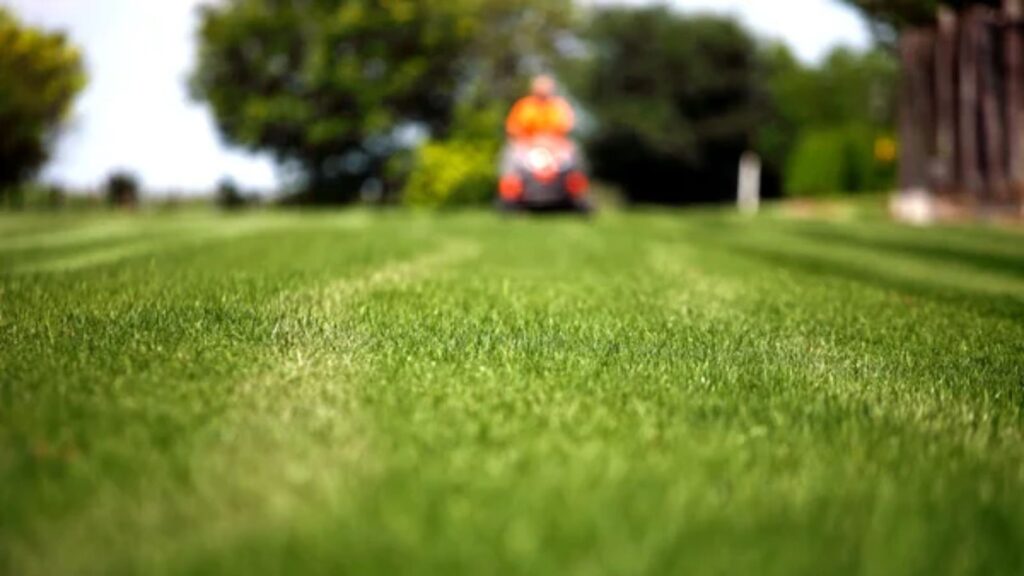 mowing lawn