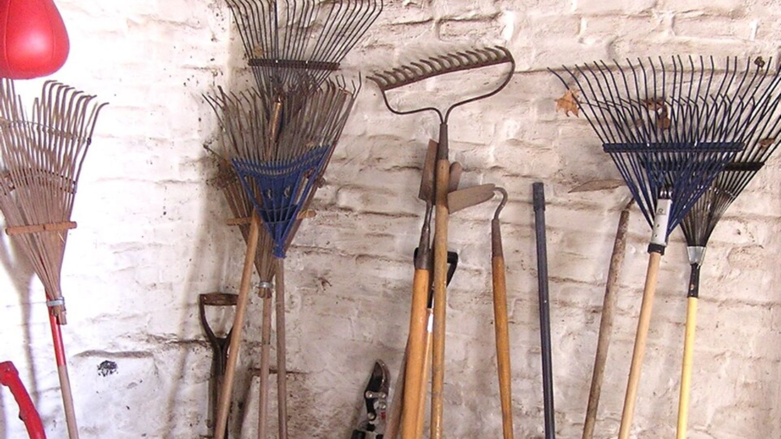 rakes