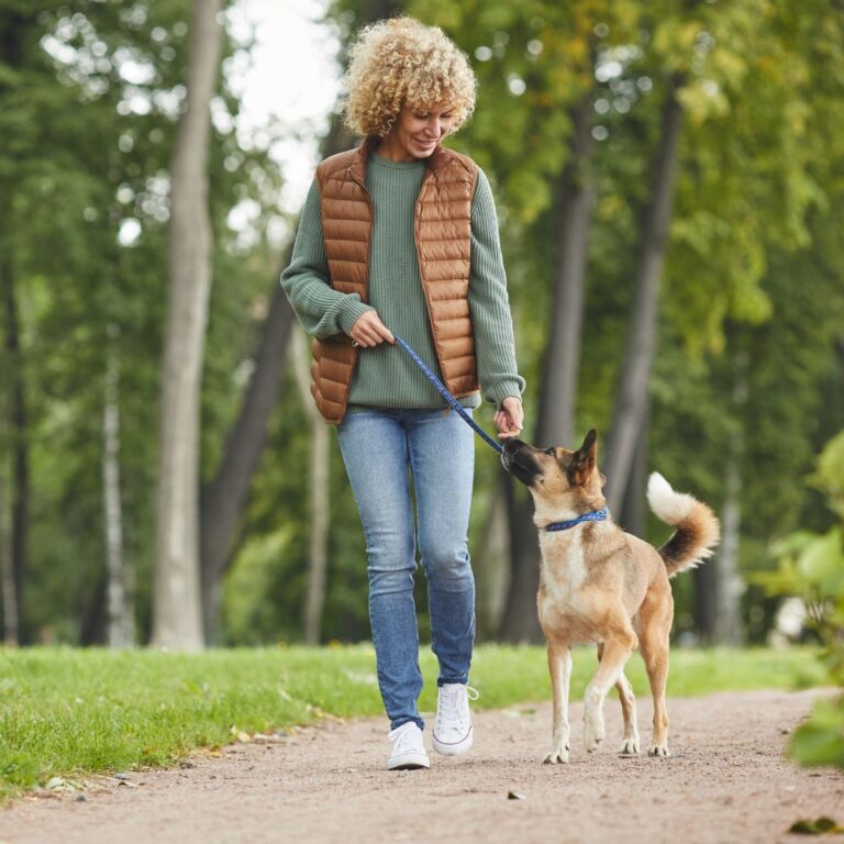 8 Dog Behaviors You Should Never Allow in Public (They’ll Get You Dirty Looks)
