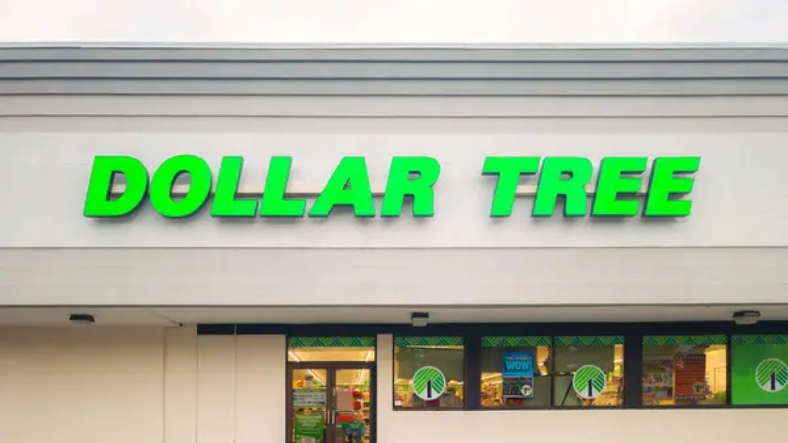 The Dollar Tree Products That Have Earned a Permanent Spot on Shopping Lists