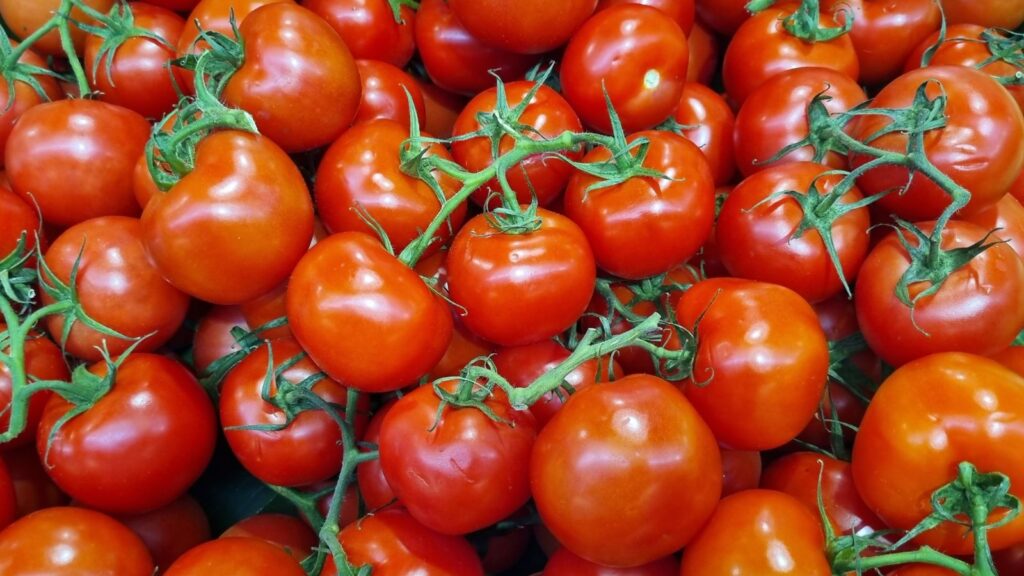 Tomatoes