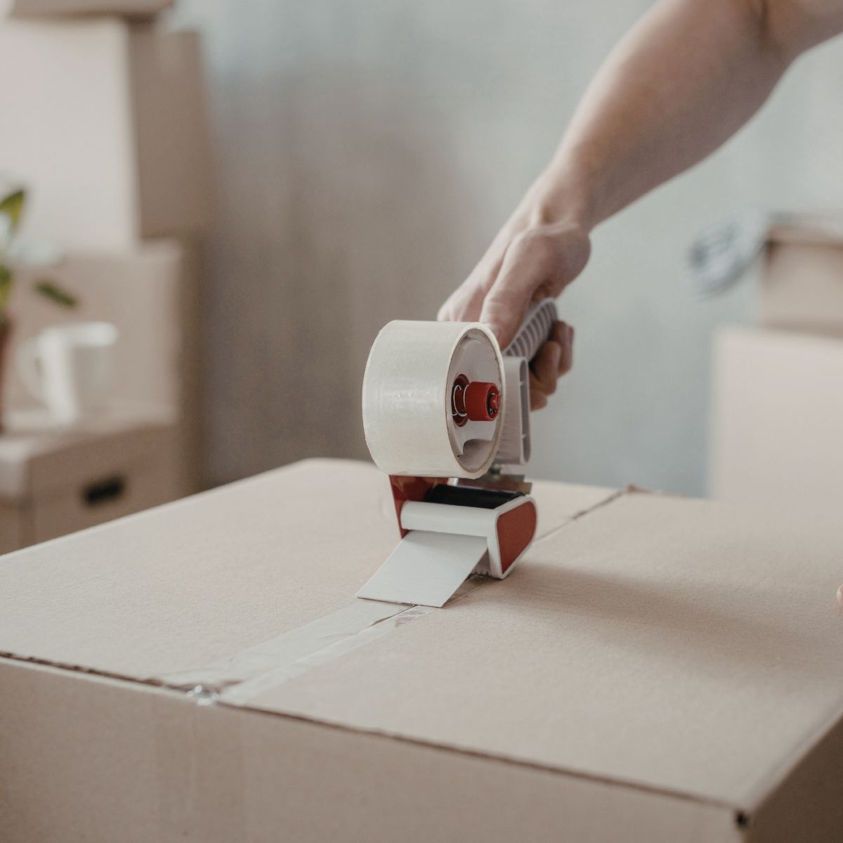 13 Things You’ll Regret Storing in Cardboard Boxes