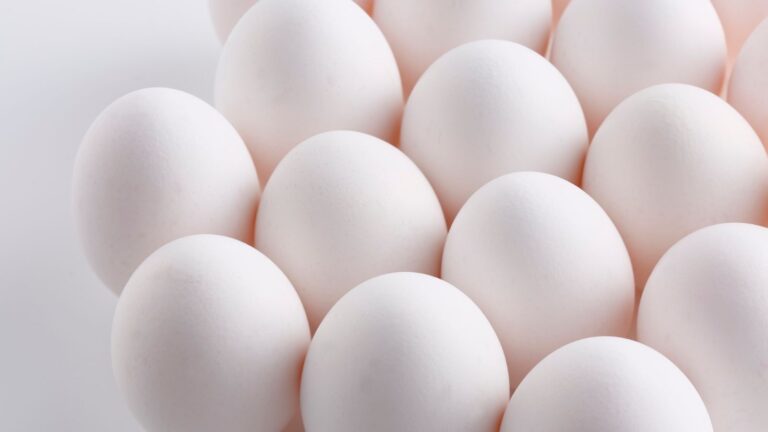 eggs
