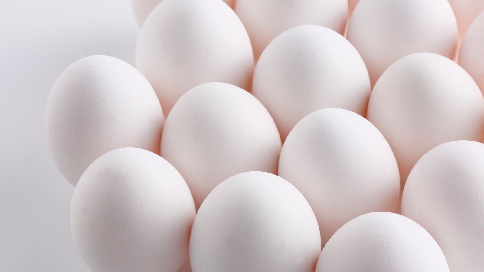 eggs