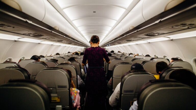 flight