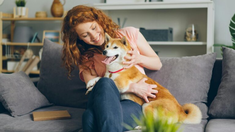 pets