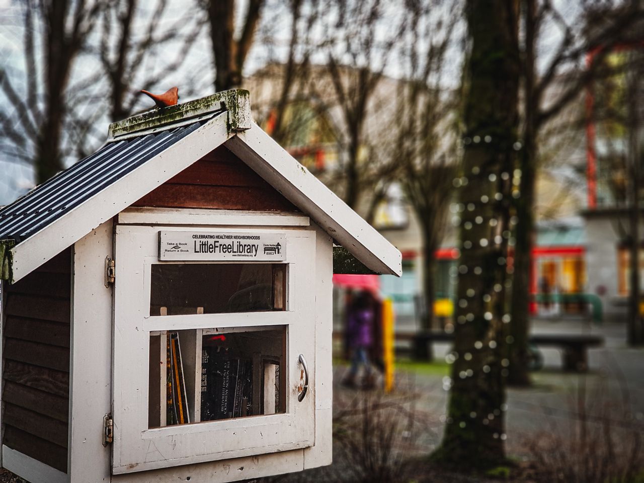 6 Places Where You Can Get Groceries for Free, No Matter What You Earn