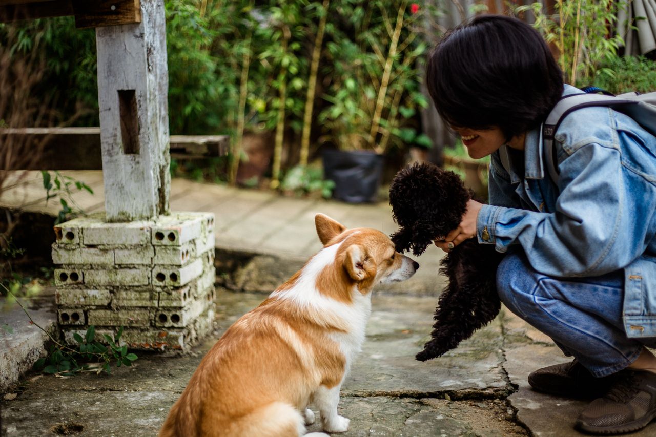 10 Low-Stress Jobs Retirees Can Do Without Going Back to the 9-to-5 Grind