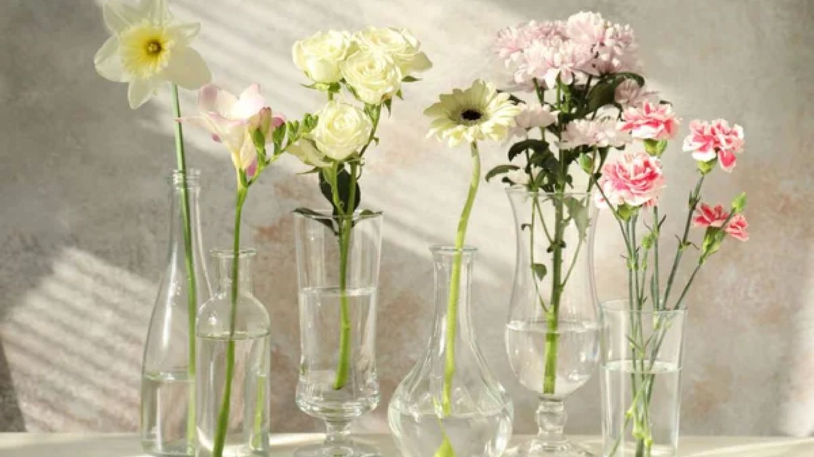 vases