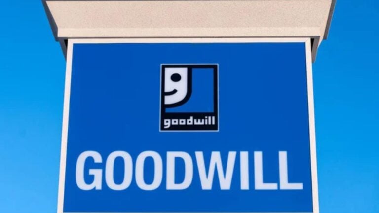 Goodwill
