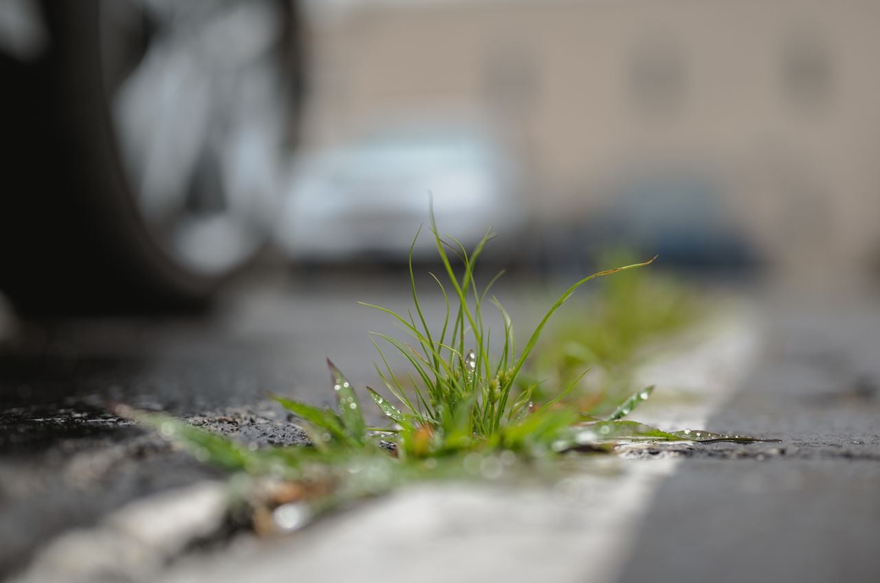Before you buy weed killer, try these 7 tricks for weeds in gravel