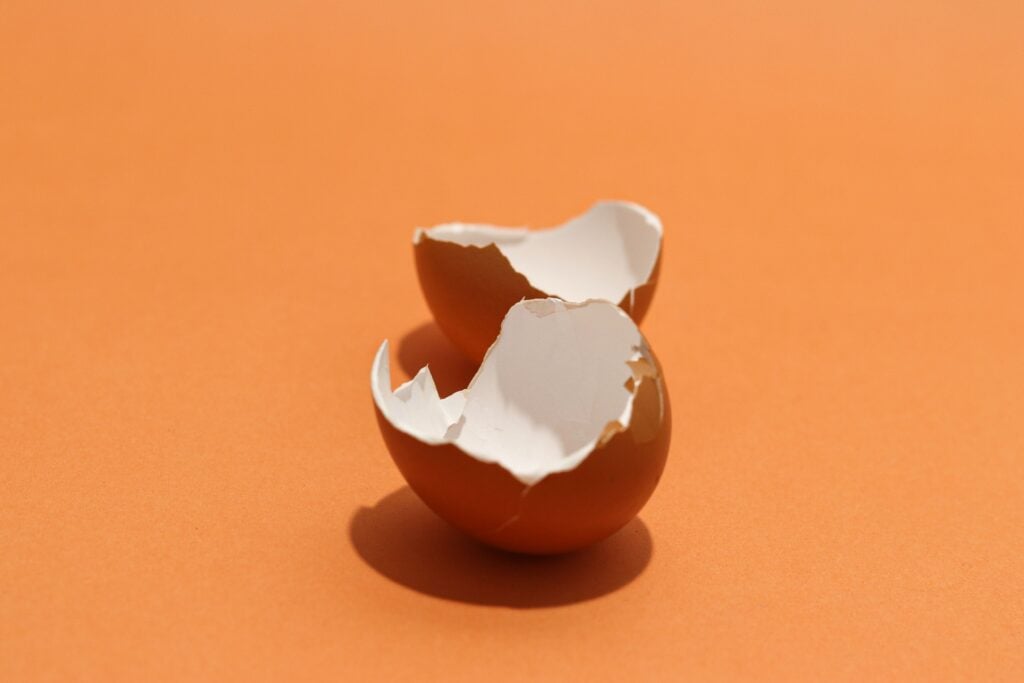 Eggshells 