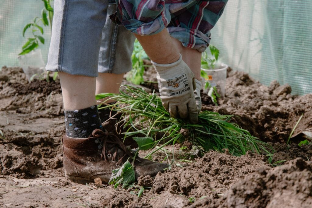 Pull Weeds by Hand