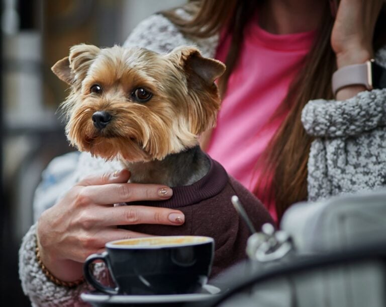woman with dog in hand