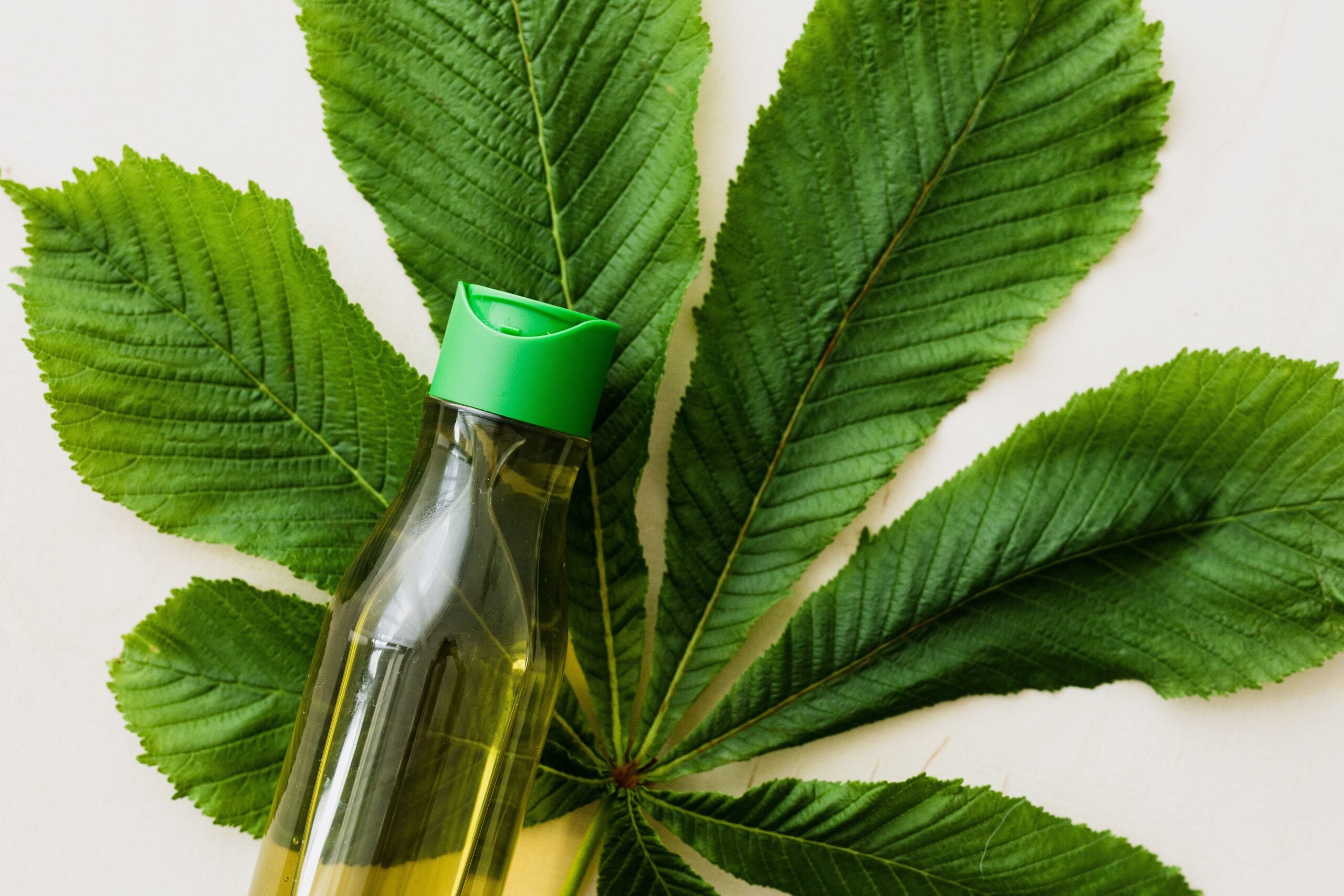 castor oil
