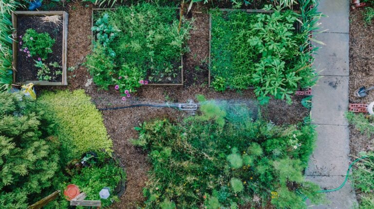 garden bed